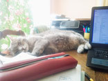 My assistant in Versailles, ©Delphine Daret