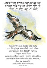 christliche Karten, fliegender Adler, hebräisch, Jesaja 40, 30, Männer werden müde und matt