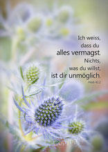 christliche Karten, Hiob 42,2, ich weiss, dass du alles vermagst, Blume