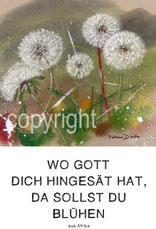 christliche Karten Löwenzahn wo gott dich hingesät hat, da sollst du blühen löwenzahn
