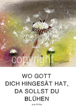 christliche Karten wo gott dich hingesät hat, da sollst du blühen Löwenzahn