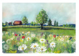 Blumenwiese Landschaft Haus Margeriten Mohnblumen Sommer