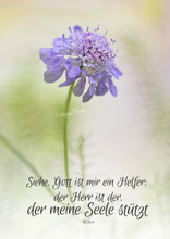 christliche Karten, Psalm 54, 6 violette Blume