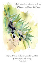 christliche Karten, Oelzweig,psalm 52,10, Oliven schwarze, aquarell