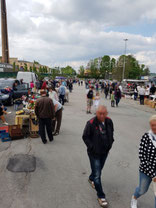 Kätplatz 2017