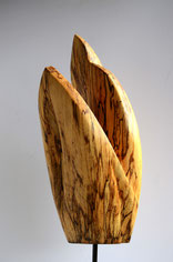 modern#abstrakt#birke#edelholzskulptur#gunnar mozer