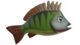 Der beste Angelköder für Zander