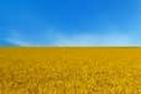 Ukraine-Hilfe | Dr. Wrede & Partner