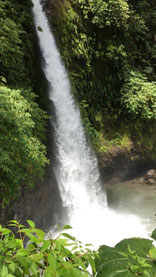 Nahe des Vulkan Poás liegt "La Catarata de la Paz", was so viel wie "Wasserfall des Friedens" bedeutet. Tatsächlich überbringt der Wasserfall einem ein Gefühl von Frieden, hauptsächlich dank seiner leuchtenden grünen Umgebung und dem Rauschen des Wassers,
