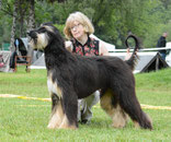 Multi-Ch. Drishaun Black Masquerade