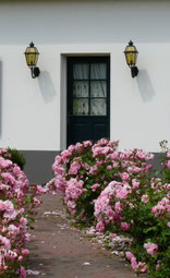 Bienvenue aux Mil Roses en Baie de Somme