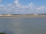 plage et dunes Baie de Somme