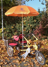 Fun2Go Dreirad mit Sonnenschirm