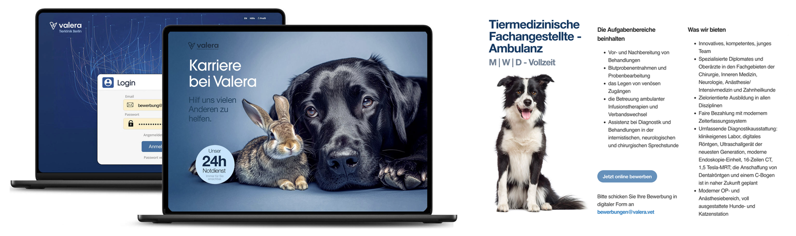 Valera Tierklinik Berlin – Webdesign Klinikportal und Social Media von Online Marketing Agentur Berlin digitalgrafik24