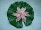 Hand Stitched White or Pink Beaded Water Lily