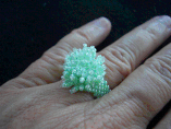 Hand Stitched Swarovski Crystal Beaded Ring