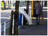 東京写真街角写真　葛飾ラプソディー