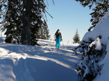 Winterwandern am Kasberg