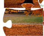 herfstpuzzel eenvoudig