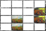 memory Van Gogh schilderijen