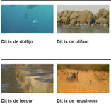 WWF : dierenfilmpjes