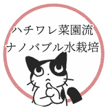 ハチワレ菜園リンクナノバブル水栽培（ハチワレレシピ）