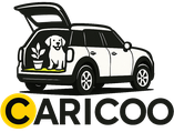 Caricoo.it Pianali Bagagliaio per Auto
