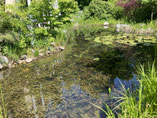 Foto: Edeltraud Gregor