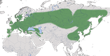 Karte zur Verbreitung des Kleibers (Sitta europaea)