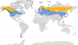 Karte zur Verbreitung des Seidenschwanzes (Bombycilla garrulus)