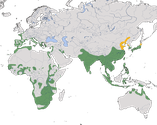 Karte zur Verbreitung des Zistensängers (Cisticola juncidis)