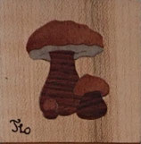 Magnet carré Champignons - 5x5