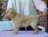 Rusty "Pelle"