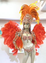 サンバ衣装、羽！！！ Amazon.co.jp: [エアーズCOS] サンバ 衣装 羽 コスプレ ダンス