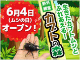 野外網室「カブトの森」オープン！