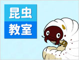 昆虫教室「初めてのカブト飼育」
