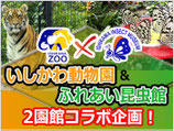 いしかわ動物園＆ふれあい昆虫館「２園館コラボ企画」
