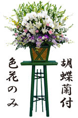 生花特 1本25,000円(消費税別)