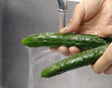 野菜などの洗浄に