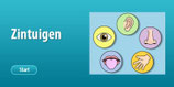 invuloefeningen zintuigen(bron: blokje)