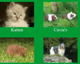 test je kennis over dieren