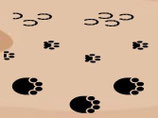 sporen van dieren