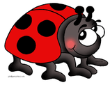 kriebelbeestjes