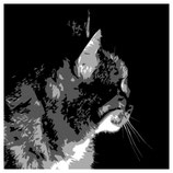 ERL Editions - Commander