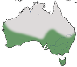 Karte zur Verbreitung des Weißgesicht-Trugschmätzer in Australien.