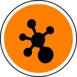 TSCA : 5 restricted substances in Products