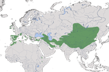 Karte zur Verbreitung der Alpenkrähe (Pyrrhocorax pyrrhocorax)