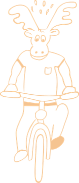 Mobiler Fahrradservice Jetzt Mit Fahrradladen In Zwickau