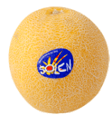 Melone 1kg