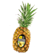 Ananas 1kg